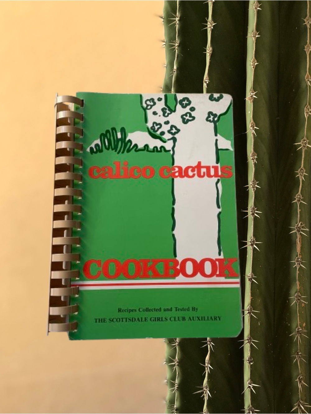 Vintage 1987 Calico Cactus cookbook Scottsdale Girls Club Arizona recipes